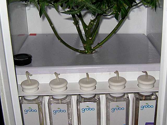 %20%20(8)